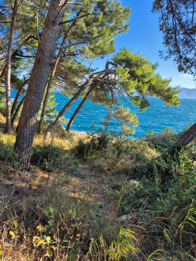 Photogallery, Apartments Rabac Rabac Photogallery, Apartments Rabac Rabac
